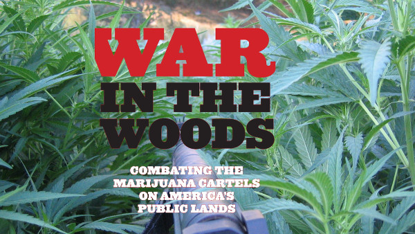 War In The Woods picture